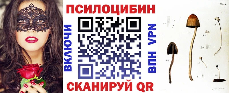 Псилоцибиновые грибы мицелий  купить наркоту  Уссурийск 